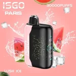 ISGO Paris X 30000 Puffs Disposable