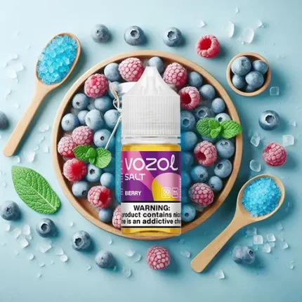 Vozol Saltnic Blueberry Raspberry 30ml