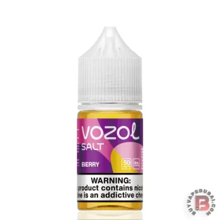 Vozol Saltnic Blueberry Raspberry 30ml