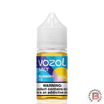 Vozol Saltnic Blueberry Ice 30ml