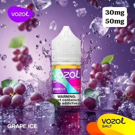 Vozol Saltnic Grape Ice 30ml