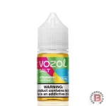 Vozol Saltnic Strawberry Watermelon